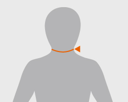 10: 首回り(くびまわり)