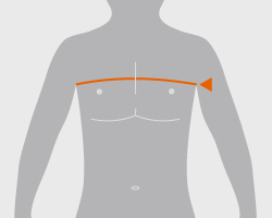 11: 上胸囲(じょうきょうい)