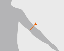 25: 肘囲(ひじまわり)