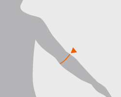 26: 肘下囲(ひじしたまわり)