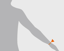 27: 手首囲(てくびまわり)