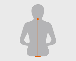 4: 背丈(せたけ)