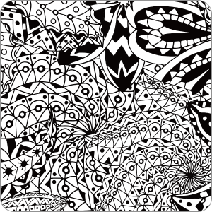 vmaxモノクロネイチャー