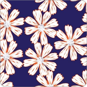 vmaxムーンライトコスモス